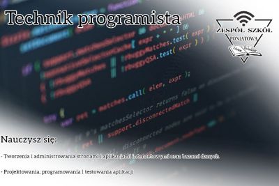 programista